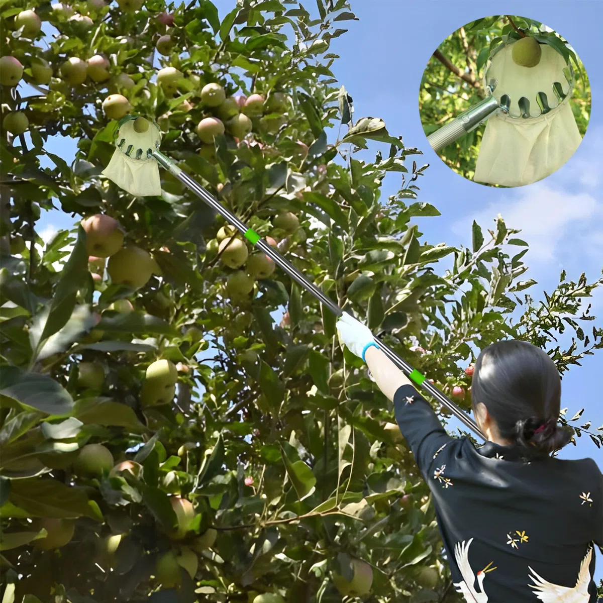 Raccoglitrice con Palo, Raccoglitore di Frutta Bastone, Raccogli Frutta, Raccogli Frutta Telescopico, Raccoglitore di Frutta Ad Alta Quota, Salvaspazio, Strumenti Pratici del Frutteto
