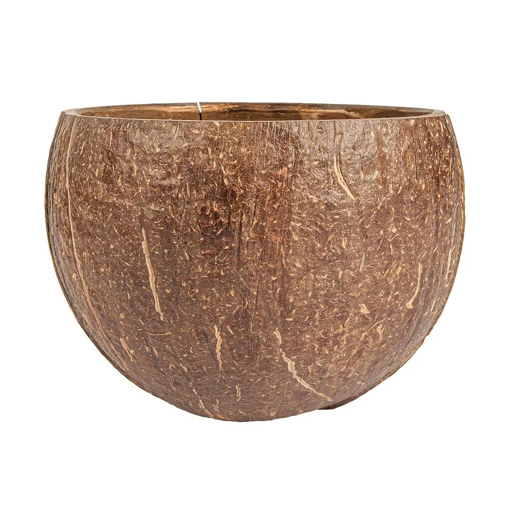 Garcia de Pou 5 pezzi - Ciotole 200 ml Ø9X6 cm Natural Coco
