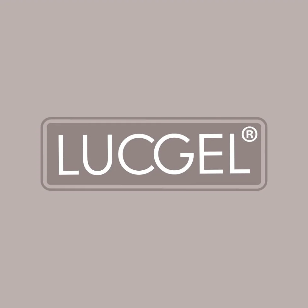 Lucgel Coperchio Trasparente in Policarbonato a Cupola per Vaschetta Gelato, 36x25 cm