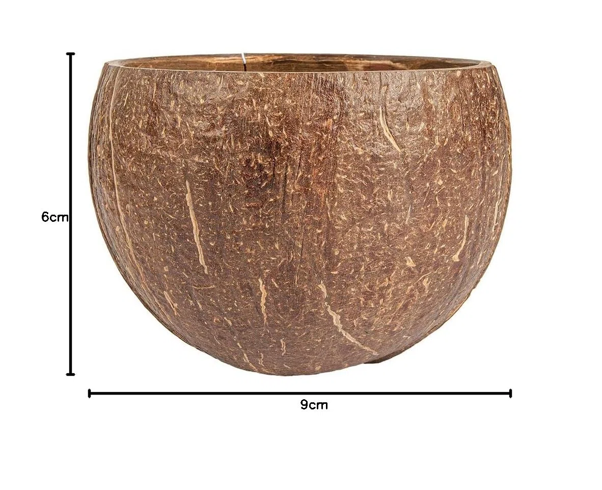 Garcia de Pou 5 pezzi - Ciotole 200 ml Ø9X6 cm Natural Coco