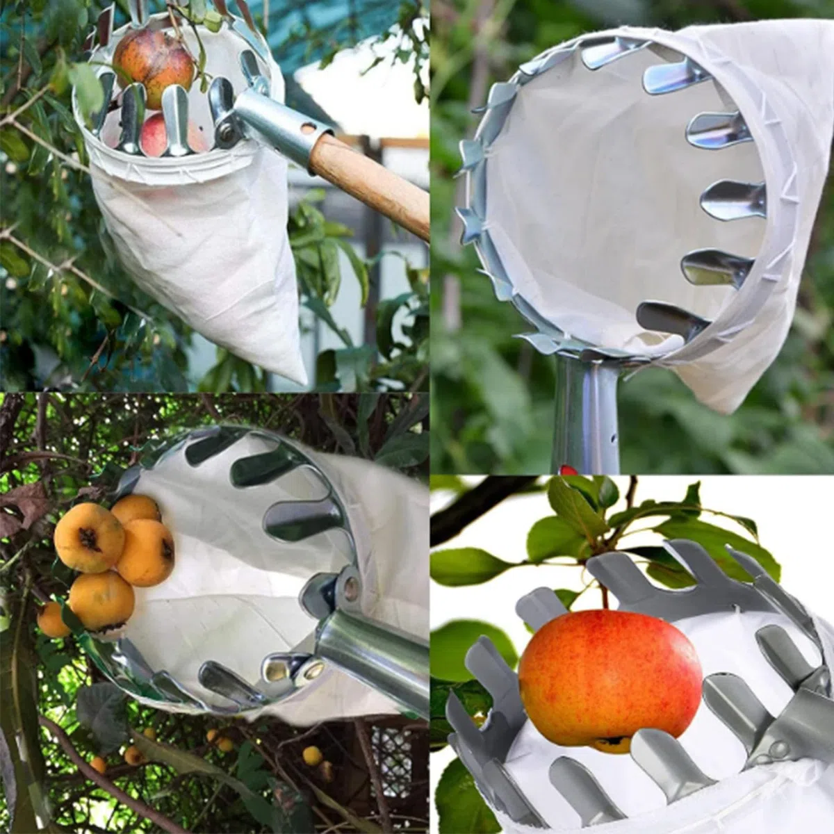 Raccoglitrice con Palo, Raccoglitore di Frutta Bastone, Raccogli Frutta, Raccogli Frutta Telescopico, Raccoglitore di Frutta Ad Alta Quota, Salvaspazio, Strumenti Pratici del Frutteto
